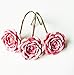 12 PCS Home Fashion Decorative Rust Proof Shower Curtain Hooks Red Rose Design Shower Curtain Rings Hooks