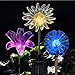 SAPPYWOON Outdoor Solar Flower Garden Lights- 3pcs LED Multi-Color Solar Garden Stake Lights for Garden, Patio, Backyard (Lily,Dandelion,Sunflower)