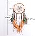LanMa Dream Catcher (25.6