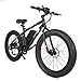 ECOTRIC 26