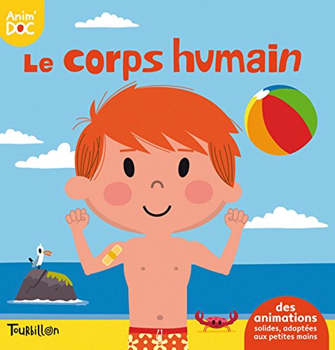 Le  corps humain