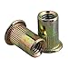 BQLZR Flat Head Galvanization M6 Insert Rivet Nut Golden Pack of 50
