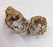 T. Samuel Crack Your Own Really Big Crystal Hollow Geodes - 2 Pack Large Geodes