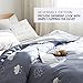 VM VOUGEMARKET 3 Piece Cloud Rain Duvet Cover Set Queen,100% Natural Cotton Reversible Stripe Duvet Cover with 2 Unique Pillowcases (Queen,Cloud 3)