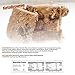 KetoBrownie Bars (12-Count) | Deliciously Baked Soft & Chewy | 16g Healthy Fats | 1g Net-Carb Keto Bars | 1g Sugar | KetoLow-CarbDiabetic Friendly (Blondie)