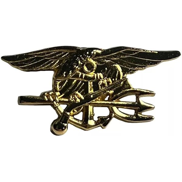 Amazon.com: Trade Winds US Navy Seal Trident Gold Motorcycle Hat