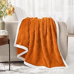 BEDELITE Super Soft Fall Throw Blanket for Couch
