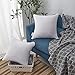 Oubonun 22 x 22 Throw Pillow Inserts (Set of 2) with 100% Cotton Cover - 22 Inch Square Interior Sofa Decorative Pillow Insert Pair - White Couch Pillow
