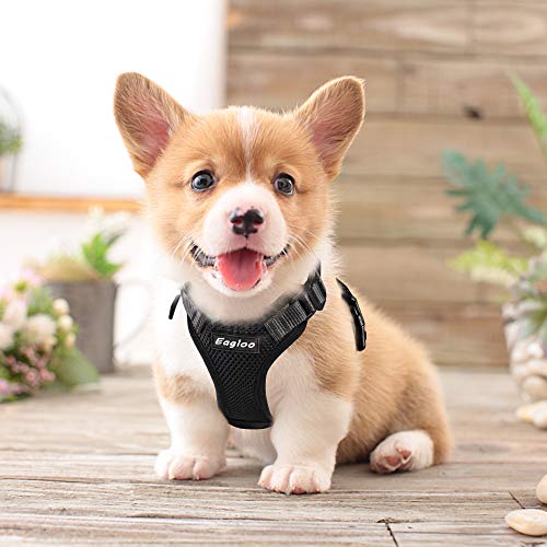 6 Eagloo+Harness+Adjustable+Reflective+Walking