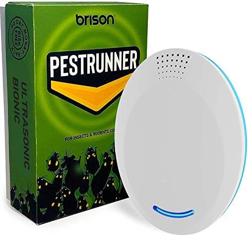 Pest Control Ultrasonic Repellent Electronic Pest Control Repels Mice Rats Spiders Roaches Ants Snakes Rodents Bats Ultrasonic Pest Repeller Human Quiet With A Night Light 2 Pack Amazon Com Au
