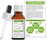 Vetzyme Veterinary Ear Drops for Dogs Cats Small Pets 18ml Antibacterial view 2