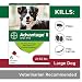 Flea and Lice Treatment for Dogs, 21-55 lb, 6 doses, Advantage II primary