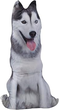 Download Lustig wohnkultur For iPhone Lustig Wohnkultur