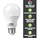 Genie LED Garage Door Opener Light Bulb - 60 Watt (800 Lumens) - Made to Minimize Interference with Garage Door Openers (Compatible with All Major Garage Door Opener Brands) LEDB1-R (2 Pack)