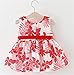 Baby Girls 6M - 3T Summer Floral Princess Party Dress Red