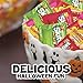 SKITTLES & STARBURST Halloween Candy Fun Size Variety Mix 46.2 Ounce Bag 95 Count