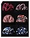 HISDERN 6 Piece Assorted Printing patterns Men's Pocket Square Handkerchief Wedding Gift