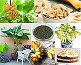 Banana Seeds for Planting - 3000+ Seeds - Dwarf