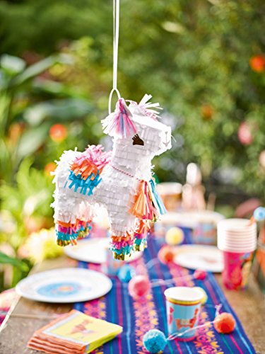 Llama Party Kids Birthday Decoration Set Lama Party Plates Cups Napkins Tablecloth Free Balloon Pack And Hanging Photo Frame Serves 16 Guests Buy Online In Guam At Guam Desertcart Com Productid