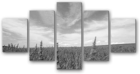 Images Na Ssl Images Amazon Com Images I 51lovb