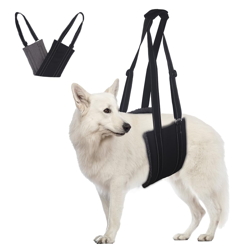 Comfpet Dog Lift Harness for Hind Leg Support for Small Dog, Dog Lift Sling for Back Legs, Portable Leg Support Harness for Injured, Elderly, and Disabled Dogs, Dog Mobility Aid, Small