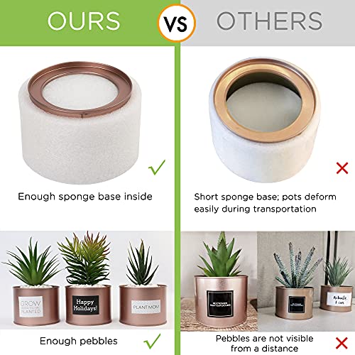 LotFancy Faux Succulents Plants for Desk Decor, Office Artificial Potted Fake Plants for Bedroom Kitchen, 3 Pcs Plastic Artificial Succulents with Metallic Rose Gold Jars & Decoration Accessories