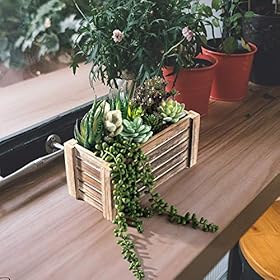 Artificial Succulents in Pots - Fake Succulent Plants, Artificial Plants for Home Decor Indoor, Faux Succulents for… 51lP0TMfSzL