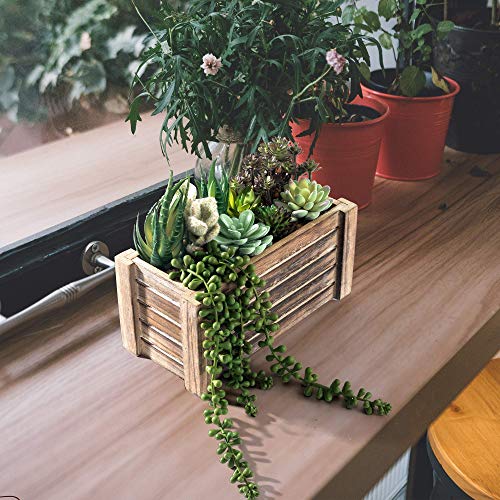 51lP0TMfSzL 51lP0TMfSzL