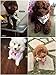 PET SHOW 10 Pack Small Dog Bandanas Girl Cotton Female Cat Puppies Bibs Washable Triangle Head Scarfs Medium Dogs Bandana Photo Prop Grooming Accessories
