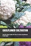 CAULIFLOWER CULTIVATION: Step By Step Guide On How