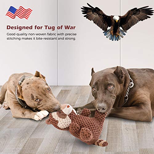 Beewarm Squeaky Dog Chew Toys for Large Medium Small Dogs Lifetime