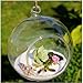 Set of 18pcs 3.15 inches Hanging Tealight Candle Holder Glass Globes DIY Plants Terrarium Wedding Home Decorations…