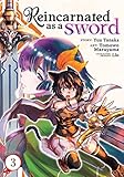 Reincarnated as a Sword (Manga) Vol. 3
