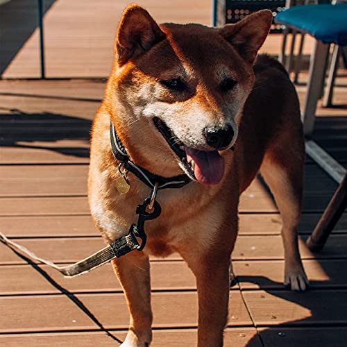 Swivel Eye Bolt Snap Hooks Black Heavy Duty Dog Leash Clips Dog Leash