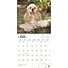 Cocker Spaniels 2018 Monthly Square Wall Calendar