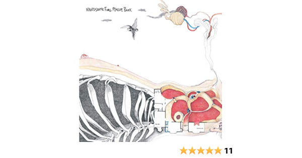 Handsome Furs Plague Park Amazon Com Music