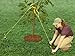 Jobe's 5270 Standard TreeStaKit Everything Needed to Anchor a Tree, 21 ft, 21 Feet