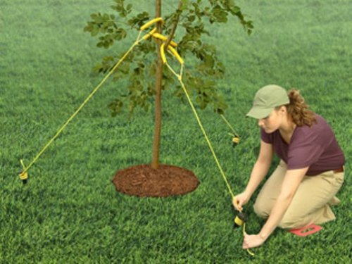 Jobeâ€™s TreeStaKit Tree Staking Kit for Medium Trees Up To 3 inches in Diameter (Kit Includes: Highly Visible Straps, 21 feet of Nylon Rope, and Durable Stakes)