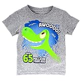 The Good Dinosaur Boys Short Sleeve Tee (3T, Grey Years Ago)