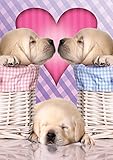 Buffalo Games Adorable Animals: Puppy Love Jigsaw Bigjigs Puzzle (300 Large Piece)