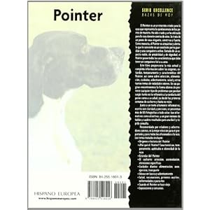 Pointer (Excellence)