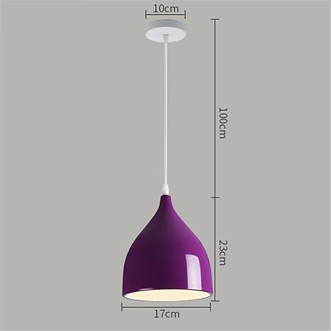 Awama Hotel Creative Iron Art Simple Modern 17 23cm Purple