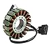 Motor Lichtmaschine Magneto Generator Engine Alternator Stator Coil Compatible with YAMAHA YZF 1000 R1 YZFR1 2002 2003