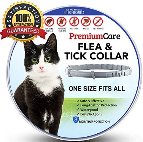 Premium Flea and Tick Collar for Cats | Prevents and Removes Fleas, Ticks, Lice and Mosquitos in 24 Hours | 8 Months Protection | 100% Natural Essential Oil Flea Prevention for Cats