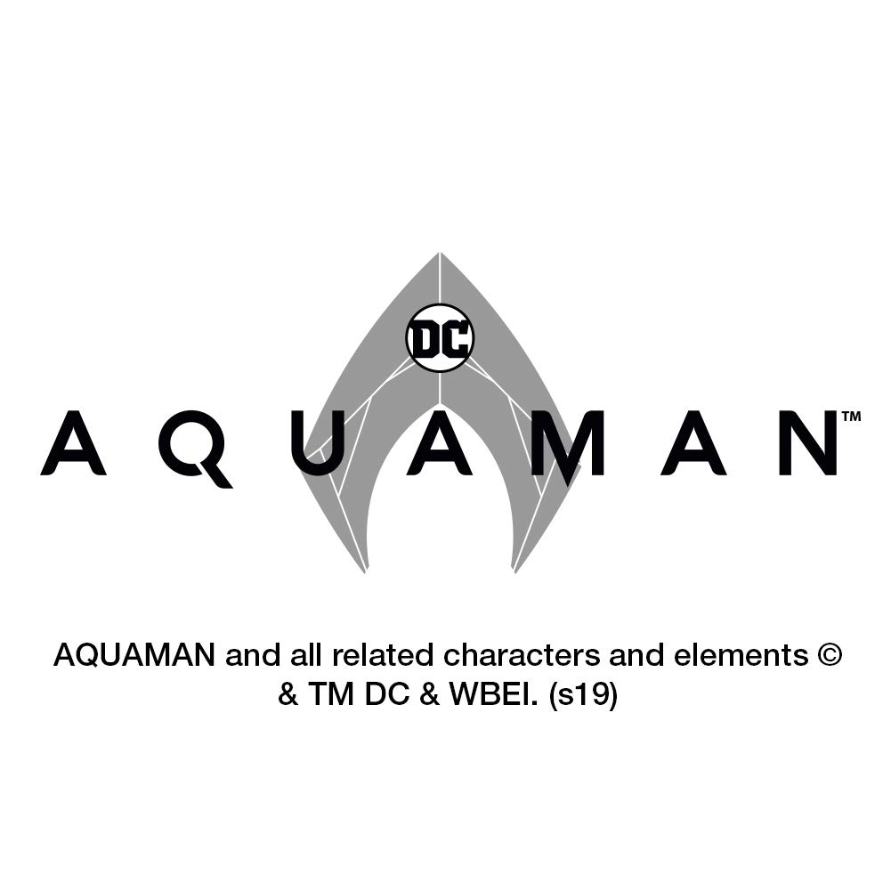 Graphics More Aquaman Movie Aquaman Sea Shells Logo 1 Pendant With Sterling Silver Plated Chain Fashion Necklaces Imporfrio Com