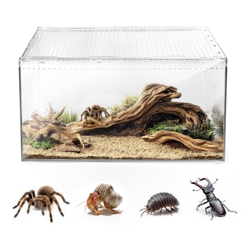 AZV Escape-Proof Terrarium