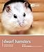 Dwarf Hamsters. (Pet Friendly) by 