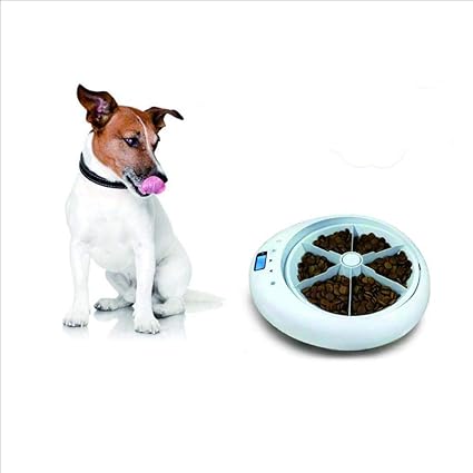 Lj Disque Automatique Pour Chien Et Chien Pour Chien