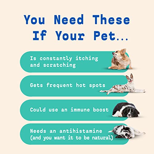 Native Pet Dog Allergy Chews Natural Dog Skin Allergies Treatment