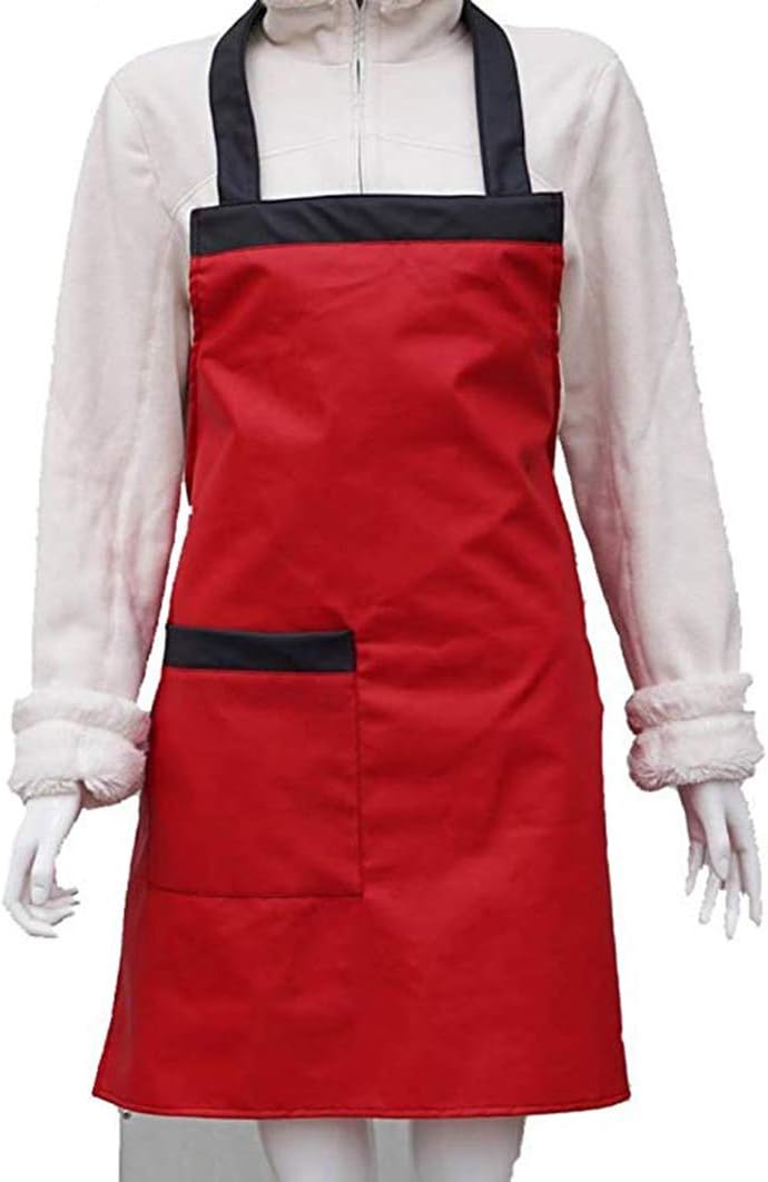 best dishwashing apron